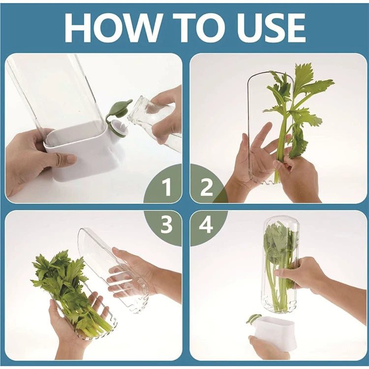 Herb Saver Container – Fridge Storage for Cilantro, Mint, Asparagus