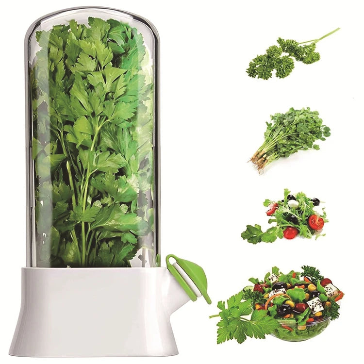 Herb Saver Container – Fridge Storage for Cilantro, Mint, Asparagus
