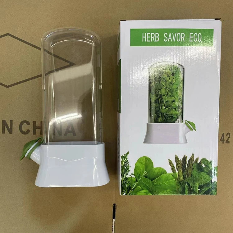 Herb Saver Container – Fridge Storage for Cilantro, Mint, Asparagus