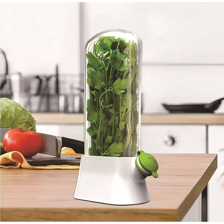 Herb Saver Container – Fridge Storage for Cilantro, Mint, Asparagus